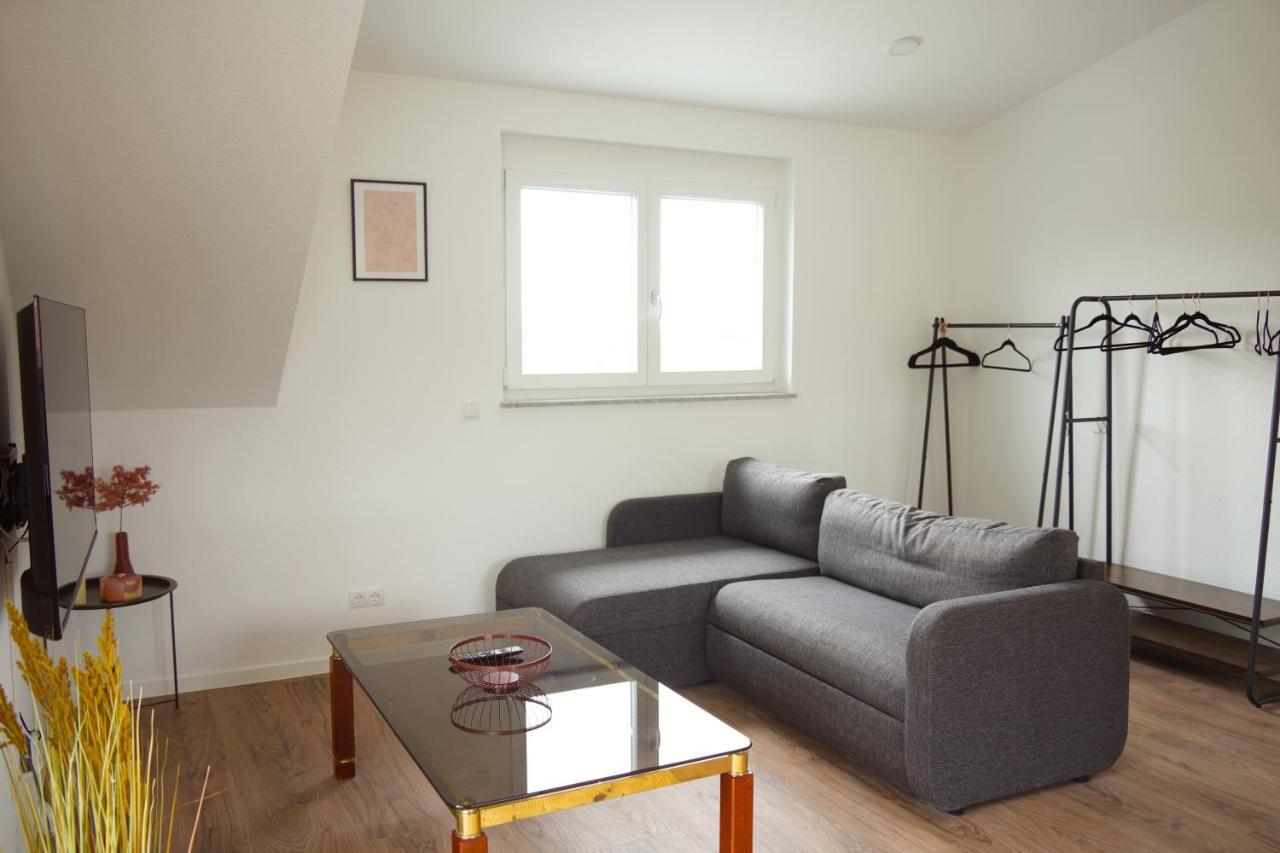 Exklusive Neubauwohnung Mit Wundervoller Aussicht Naehe Europapark Und Rulantica Burgheim Экстерьер фото